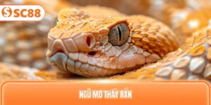 Ngủ mơ thấy rắn